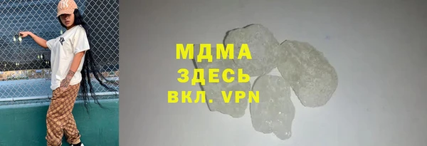 гашик Алексин
