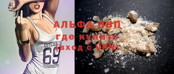 гашик Алексин